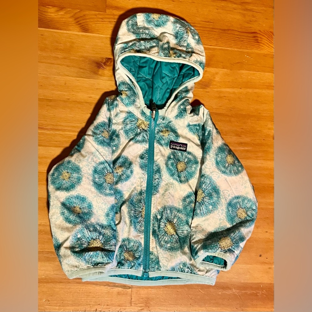 Patagonia Puff Ball Jacket and Pants